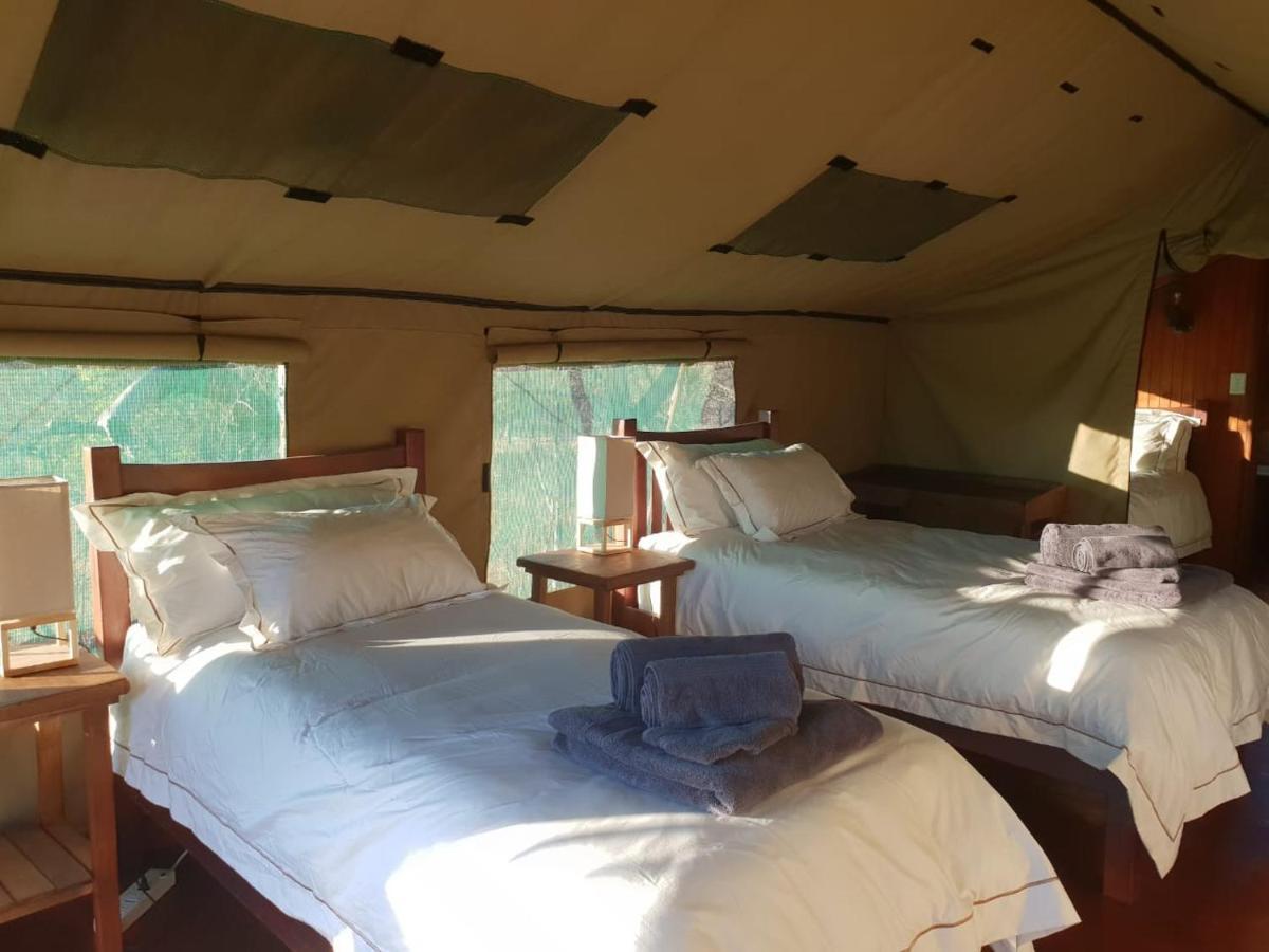Kelora Bush Camp Hotel โฮดสปรูท ภายนอก รูปภาพ