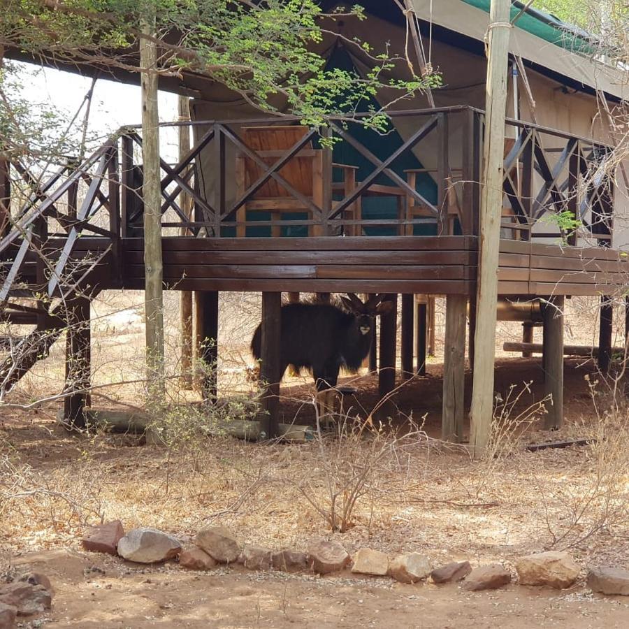 Kelora Bush Camp Hotel โฮดสปรูท ภายนอก รูปภาพ