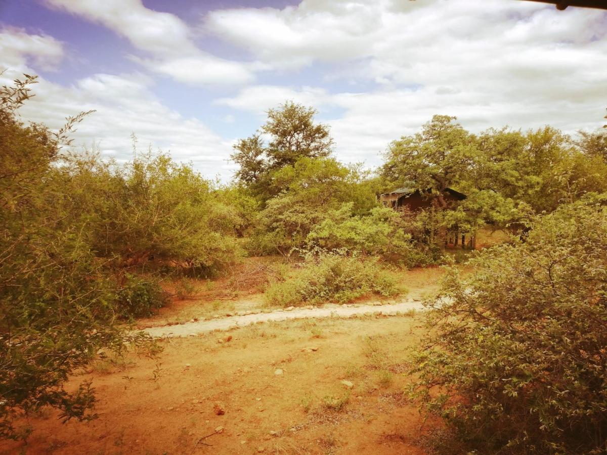 Kelora Bush Camp Hotel โฮดสปรูท ภายนอก รูปภาพ