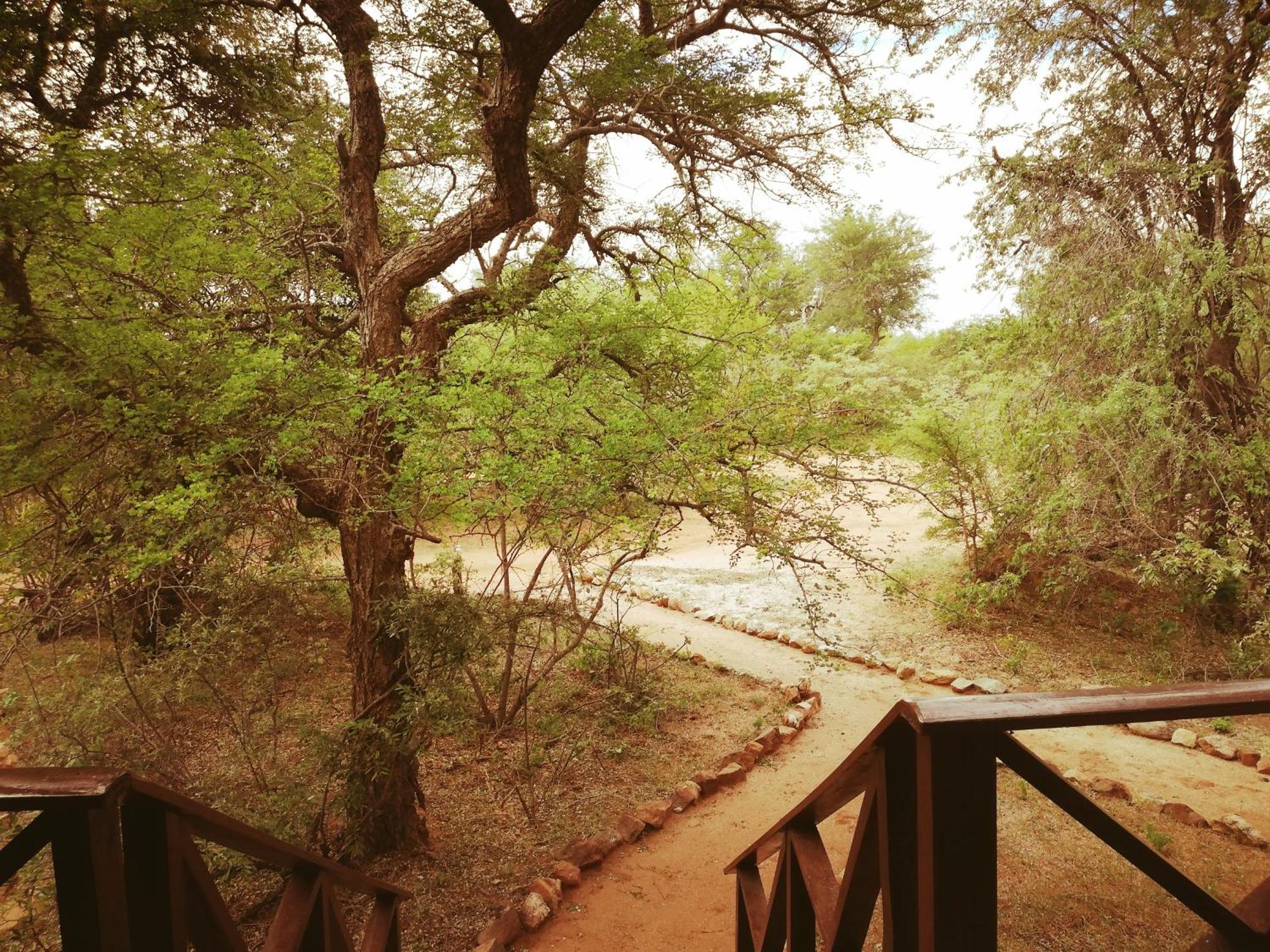 Kelora Bush Camp Hotel โฮดสปรูท ห้อง รูปภาพ